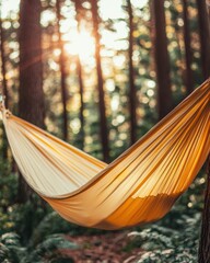 A hammock hangs between trees in a serene forest, illuminated by soft sunlight filtering through the leaves.