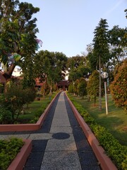 park in the sunny day