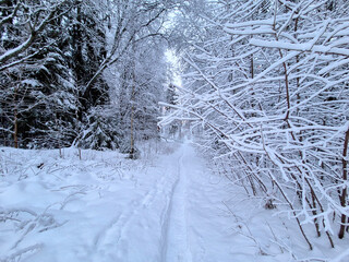 Winter