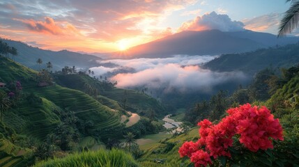 Sunrise over misty terraced rice fields and mountains
