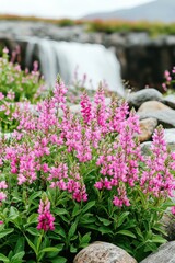 Blooming pink flowers with a waterfall in the background, surrounded by rocks, create a tranquil, natural scene.