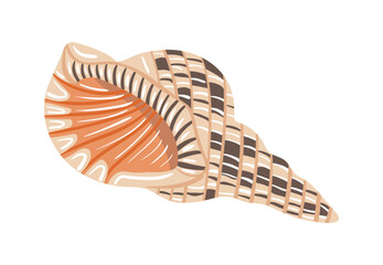 Seashell icon with pattern on white background. Vector illustration