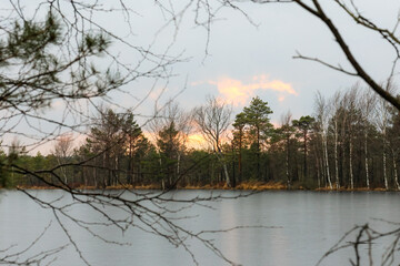 Obraz premium Sunset over a frozen lake and birch trees. Serene winter scene, calm mood, wide-angle shot, taken at eye level, featuring a tranquil icy lake surrounded by trees, peaceful nature.