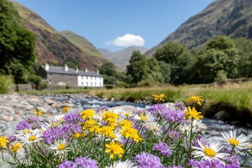 Obraz premium A vibrant field of flowers in the foreground with a picturesque house and mountains under a clear blue sky in the background.