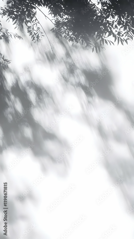 Poster abstract background with blurred shadows of tree leaves on white surface gently.