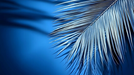 Obraz premium Silvery Palm Leaf Casting Shadow on Vibrant Blue Backdrop Creates Tropical Mood
