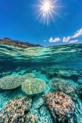 Vibrant underwater scene showcasing coral formations beneath a sunlit surface, with clear blue water and a bright sky above.