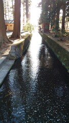 The murmur of a river
