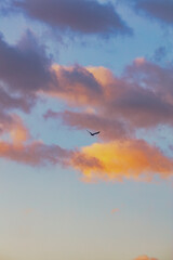 colorful sunset clouds background