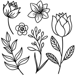 A collection of delicate, single-line drawings of various flowers and leafy branches on a white background