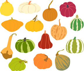 Pumpkin Set Vector | Set of Vegetables | Set Autumn Vibes