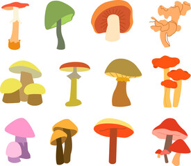 Mushroom Set Vector Illustration