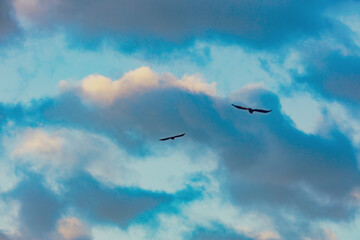sunset clouds background 