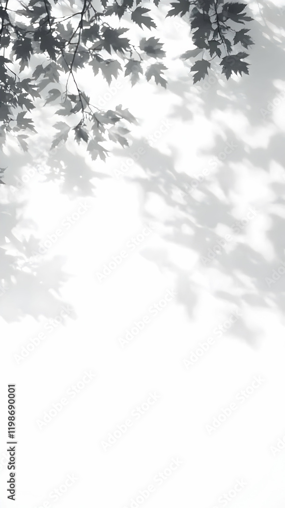 Poster abstract background with tree branches and leaf shadows on a white wall gently and serenely
