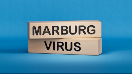 The words Marburg virus on the wooden cubes. Wooden cube blocks. Copy space.3D rendering on blue background.
