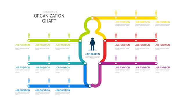 organization chart Infographic man line template for with business avatar icons. vector illustration.