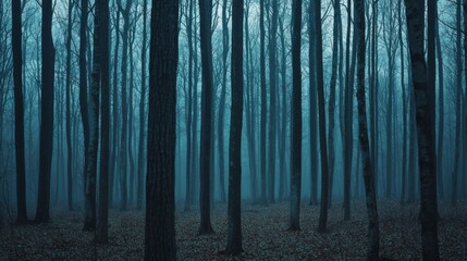 Enigmatic Foggy Forest Deep Teal Trees in Misty Woodland