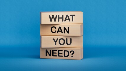 What do you need symbol. Wooden blocks with words What do you need.Business and What do you need concept. Copy space.3D rendering on blue background.