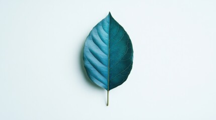 Obraz premium a single teal leaf split down the middle with one side a lighter shade than the other on a light gray background