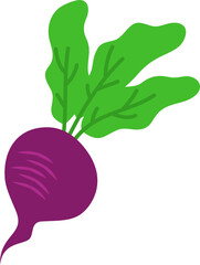 Vegetable Illustration