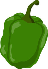 Vegetable Illustration