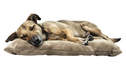 A serene image of a dog stretched out on a plush cushion sleeping peacefully in a cozy home setting