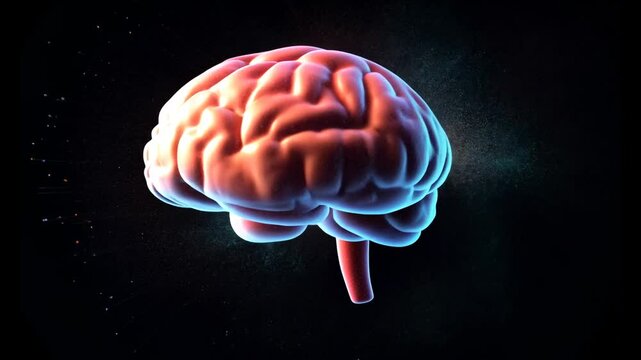 Human brain explodes with splashes of colorful