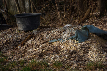 illegal dumping of rubbish in a small forest as a sign of environmental pollution