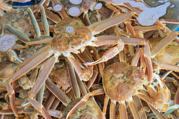 바닷가 어판장의 대게