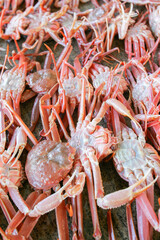 바닷가 어판장의 대게