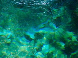 Water springing from the emerald green ground