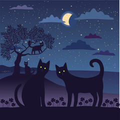 Cats at night by the seashore under a starry sky