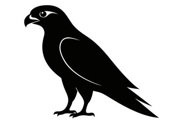 Fototapeta premium Peregrine Falcon bird silhouette black vector art illustration.