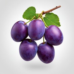A photostock of a bunch of ripe purple plums hanging on a branch, isolated on a clean white background, fresh and natural, High Quality