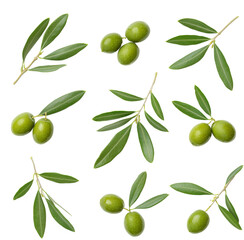 olive