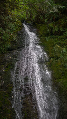 narrow waterfall cascading over moss-covered rocks