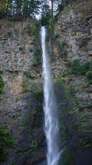 tall waterfall plunging down a rugged cliff surrounded by trees