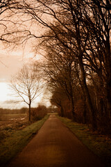 Silhouetted tree against a vibrant orange sunset with dramatic clouds