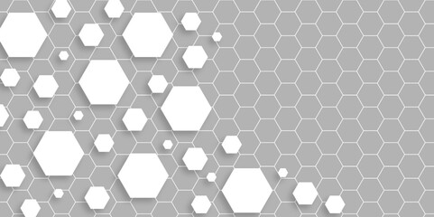 White hexagons geometric background, minimal. Honeycomb pattern with hexagon mesh. Texture bee comb grid. Flat vector illustration. Abstract Digital Blue Hexagons Business or Science Background. Tech.