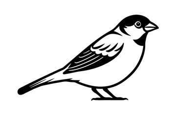Obraz premium Common Sparrow bird line art vector art illustration.
