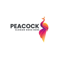 Obraz premium Peacock Gradient Colorful Logo Template
