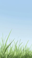 Fototapeta premium Close-up of vibrant green grass under a bright blue sky, capturing the essence of a sunny day in nature.