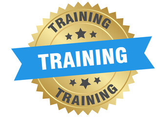 training. training round blue and gold label isolated on transparent background