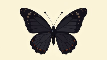 Fototapeta premium black and orange butterfly close up on white background.