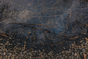 Gasoline or oil stain spill water pollution. Industrial oil fuel stain spill water pollution. Ecological disaster. Oil film pollution. Water pollution with oil, gasoline