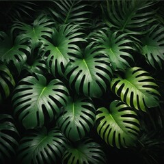 Nature-Inspired Tropical Green Leaves Background with Soft Shadows and Vibrant Highlights