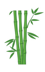 Fototapeta premium Bamboo plant vector for your design needs
