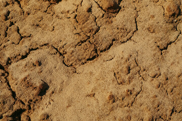 Soil texture background. Brown ground surface. Close up natural background