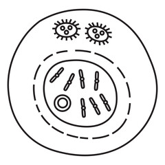Interphase line icon