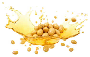 PNG Soybean oil splash with soy bean food white background simplicity.